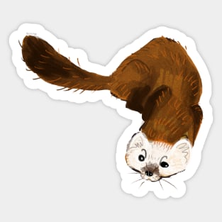 American Pine Marten Sticker